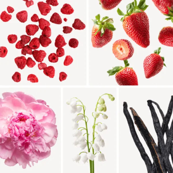 Duftnoten: Himbeere, Erdbeere, Pfingsrose, Maiglöckchen, Vanille Duftnoten: Himbeere, Erdbeere, Pfingsrose, Maiglöckchen, Vanille